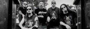 the laws band